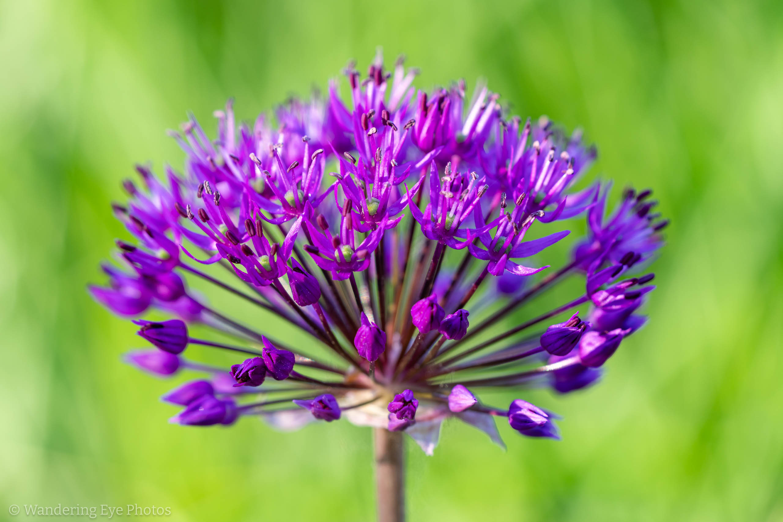 05.11 08.09.16   DSC09877